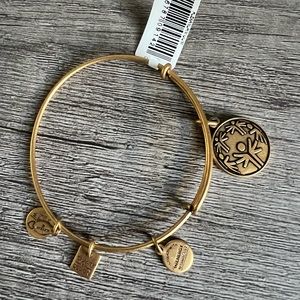 Alex and Ani Power of Unity bracelet